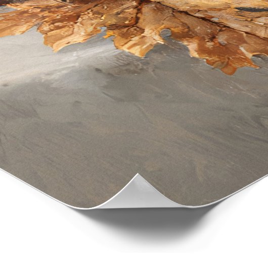 Dark Academia Still Life with Skull ポスター (角)