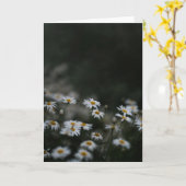 Dark and moody meadow, Sympathy カード (黄色い花)