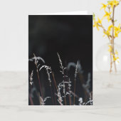 Dark and moody nature, Sympathy カード (黄色い花)
