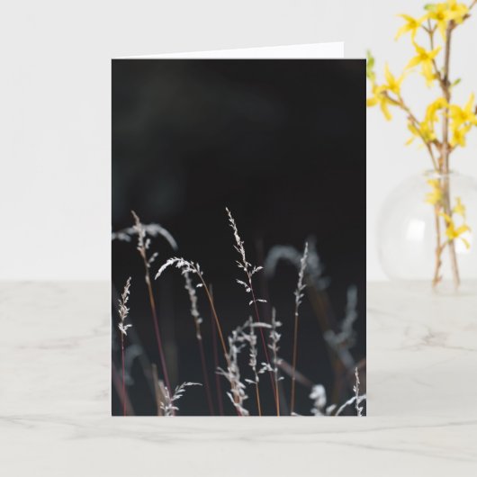Dark and moody nature, Sympathy カード (黄色い花)