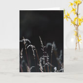 Dark and moody nature, Sympathy カード (黄色い花)