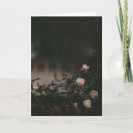 Dark and moody roses in garden Sympathy カード
