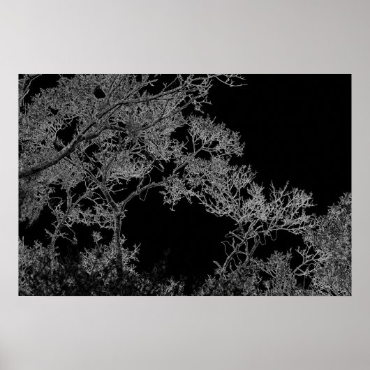 Dark Art Crows in a Tree poster by J.W. Fathree. ポスター (正面)