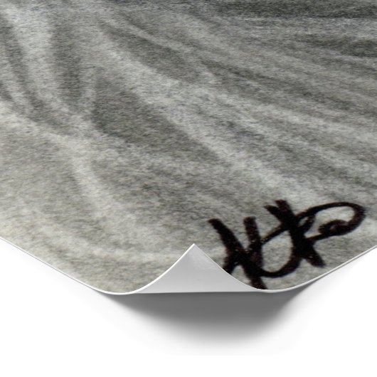 Dark Beauty Moon Shadows Poster ポスター (角)