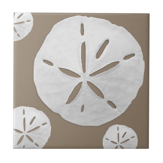 Dark Beige & White Tropical Beach Sand Dollar タイル (正面)