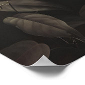 Dark Botanical Snake Art Print Floral Reptile ポスター (角)