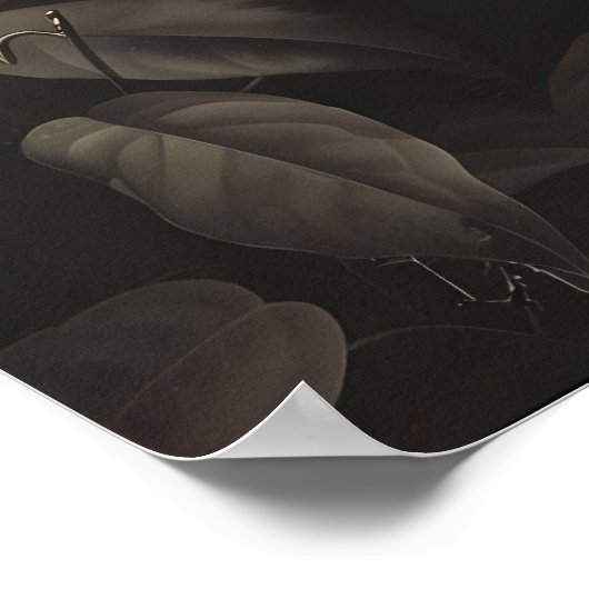 Dark Botanical Snake Art Print Floral Reptile ポスター (角)