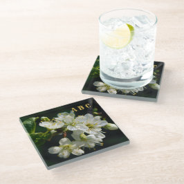 Dark Botanical White Plum Blossom Glass Coaster ガラスコースター