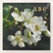 Dark Botanical White Plum Blossom Glass Coaster ガラスコースター (正面)