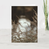 Dark brown and moody grass in wind, Sympathy カード (正面)