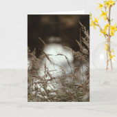 Dark brown and moody grass in wind, Sympathy カード (黄色い花)