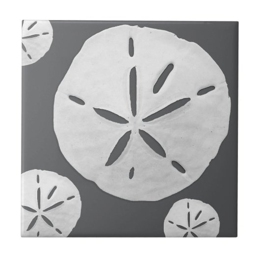Dark Gray & White Tropical Beach Sand Dollar タイル (正面)