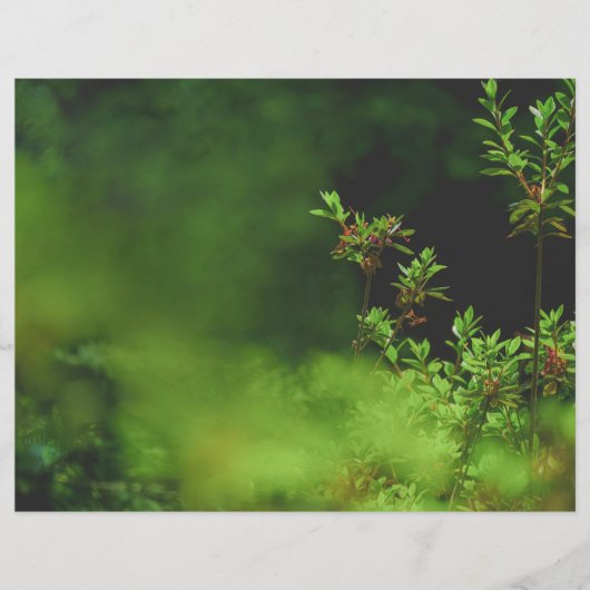 Dark green forest Scrapbook Paper (正面)