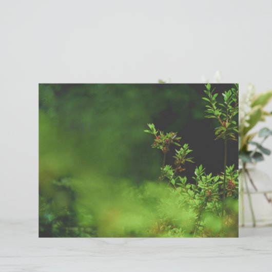 Dark green forest Scrapbook Paper (スタンド正面)