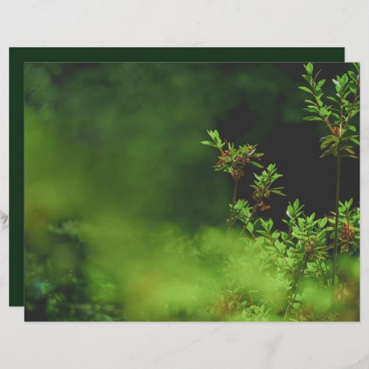 Dark green forest Scrapbook Paper (正面/裏面)