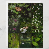 Dark Green Nature Core Scrapbooking Paper (正面/裏面)