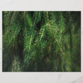Dark green spruce tree, winter Scrapbook Paper (正面)