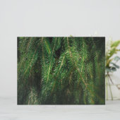 Dark green spruce tree, winter Scrapbook Paper (スタンド正面)