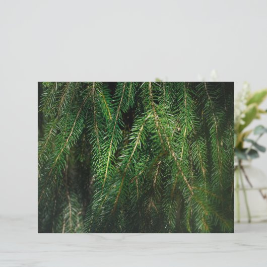 Dark green spruce tree, winter Scrapbook Paper (スタンド正面)