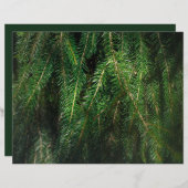Dark green spruce tree, winter Scrapbook Paper (正面/裏面)