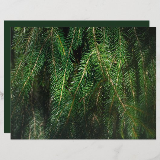 Dark green spruce tree, winter Scrapbook Paper (正面/裏面)