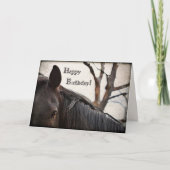 Dark Horse Happy Birthday Greeting カード (正面)