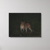 Dark Leopard Nature Lover Stretched Canvas Print キャンバスプリント (正面)