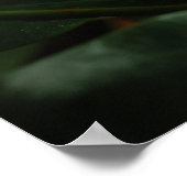 Dark Magnolia Canvas Print ポスター (角)