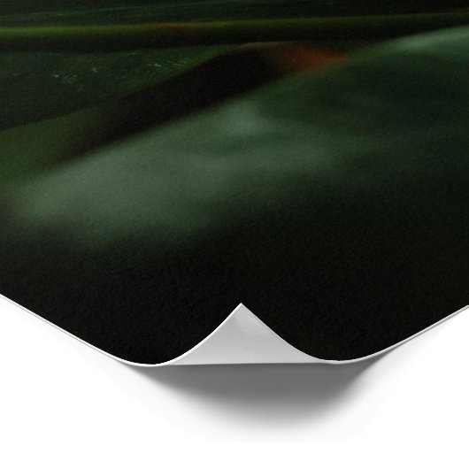 Dark Magnolia Canvas Print ポスター (角)