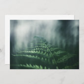 Dark Moody Fern自然写真カード (正面/裏面)