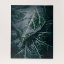 Dark Moody Ivyの葉自然写真