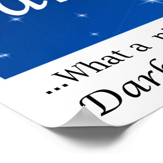 Dark Sky Advocacy - Starry Sky ポスター (角)