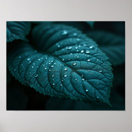 Dark Teal Macro Leaf With Rain Water Droplets ポスター