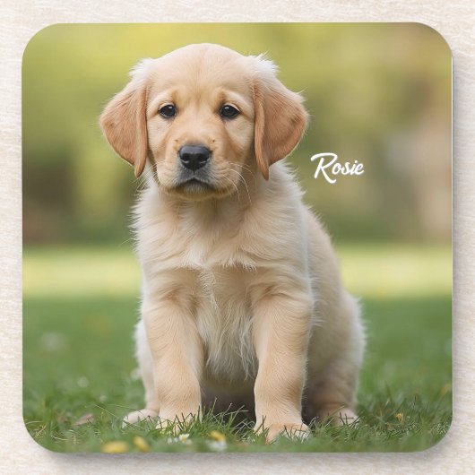 Darling Golden Retriever Personalized Coaster Set コースター (正面)