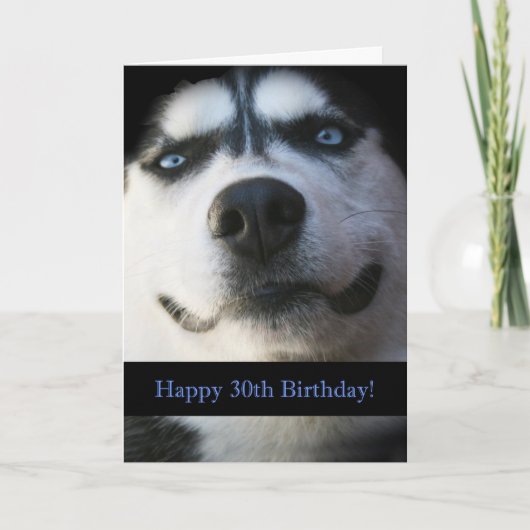 Darling Smiling Husky おもしろい 30th Birthday Card カード (正面)