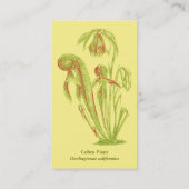 Darlingtoniaのcalifornicaの花柄 名刺 (裏面)