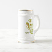 Darlingtoniaのcalifornica、食虫植物 ビールジョッキ (正面右)