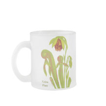 Darlingtoniaのcalifornica、食虫植物