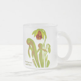 Darlingtoniaのcalifornica、食虫植物 フロストグラスマグカップ
