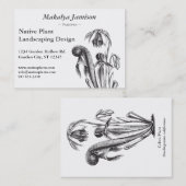 Darlingtoniaのcalifornica、食虫植物 名刺 (正面/裏面)