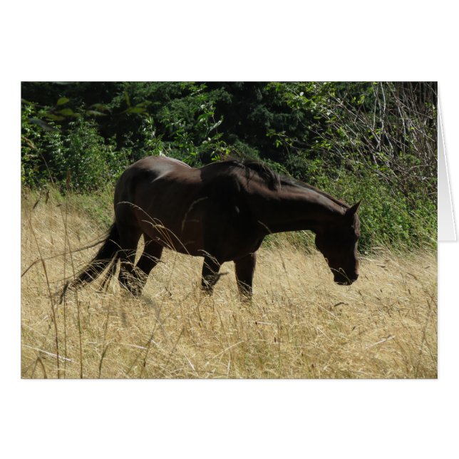 Darmaの黙想 (正面横)