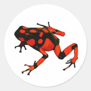 DART FROGスタンプ、FROGスタンプ ラウンドシール