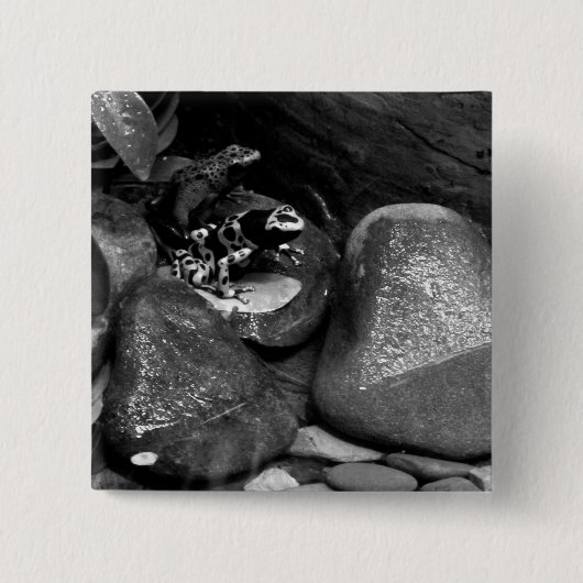 Dart Frog Friends B+W 缶バッジ (正面)