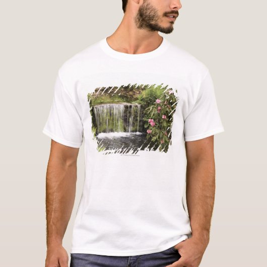 Dartmoorの国立公園の流れそして滝 Tシャツ (正面)