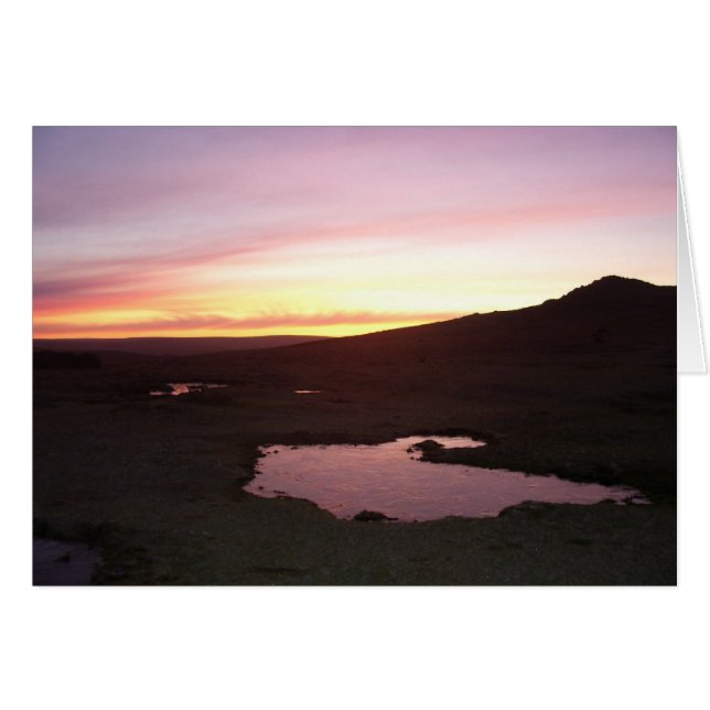 Dartmoorの朝の霜 (正面横)