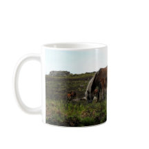 Dartmoorの野生の子馬