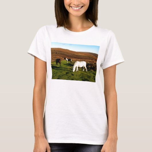 Dartmoorの3頭の子馬 Tシャツ (正面)