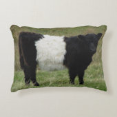 Dartmoorはギャロウェーの子牛にベルトを付けました アクセントクッション (正面)