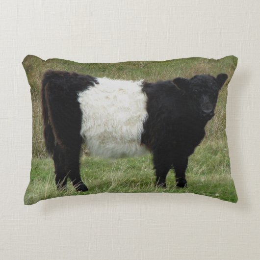 Dartmoorはギャロウェーの子牛にベルトを付けました アクセントクッション (正面)