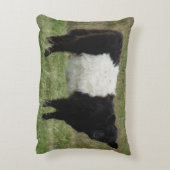 Dartmoorはギャロウェーの子牛にベルトを付けました アクセントクッション (裏面(縦))